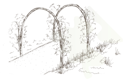 Botanical Traditions